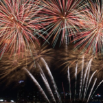 The Top 4 Reasons You Should Celebrate Every Day The Top 4 Reasons You Should Celebrate Every Day