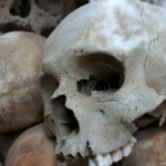 Which Death Would You Prefer? Which Death Would You Prefer?