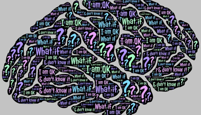 Brain with questions written inside