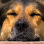 Learning to Relax: Tips for Busy Doctors Learning to Relax: Tips for Busy Doctors